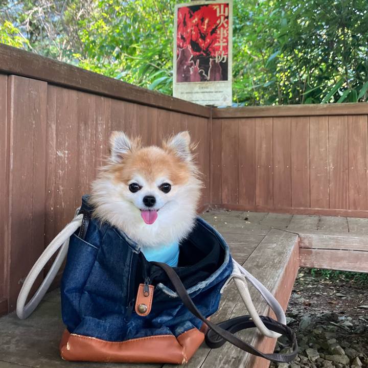 Dba2d6d8 ab90 4a43 941c 3043a836408a 1756682075691