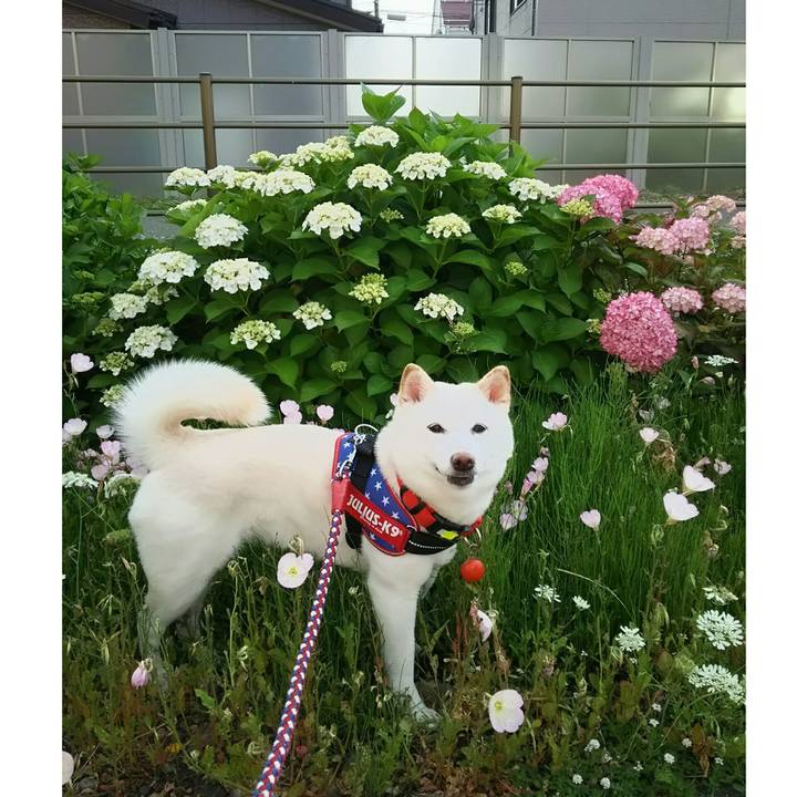 Dba2dad7 1121 4aad be1e 90975a099278 1592040486280