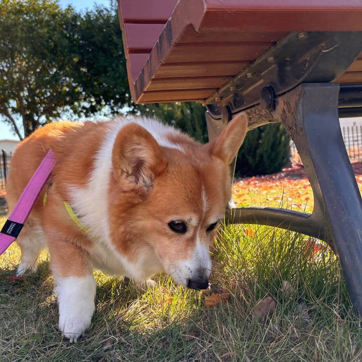 Dba39511 77cd 49ba b943 a277a3cd74f3 1763350419212