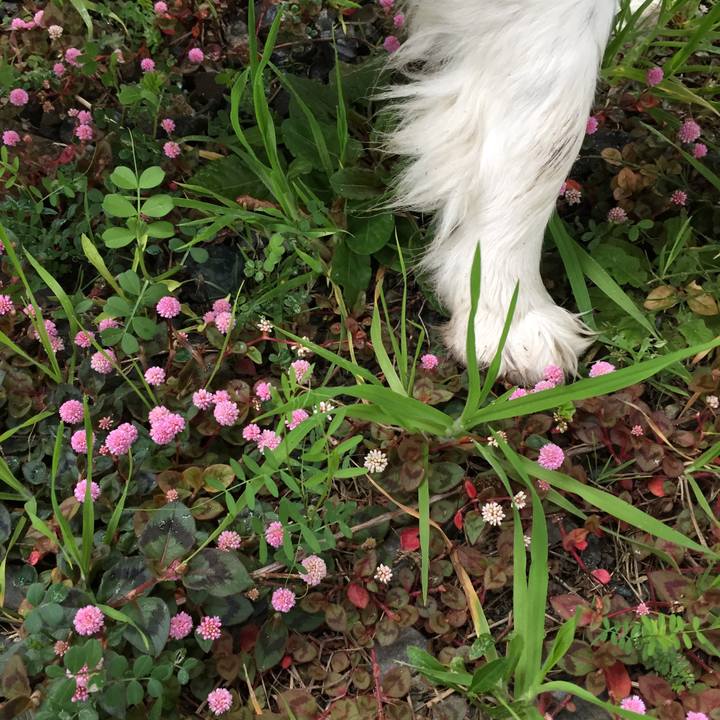 Dba3d1e8 de3e 49ba 9137 08bc0376780f 1583280112994