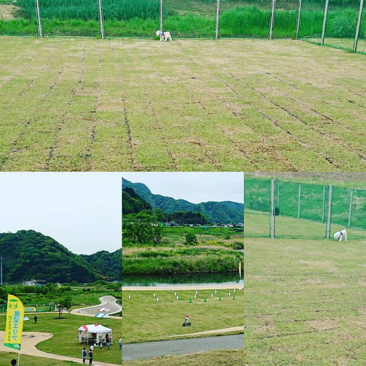 Dba3fe8e 2986 424b bb02 e58f24eb63f5 1556580358169