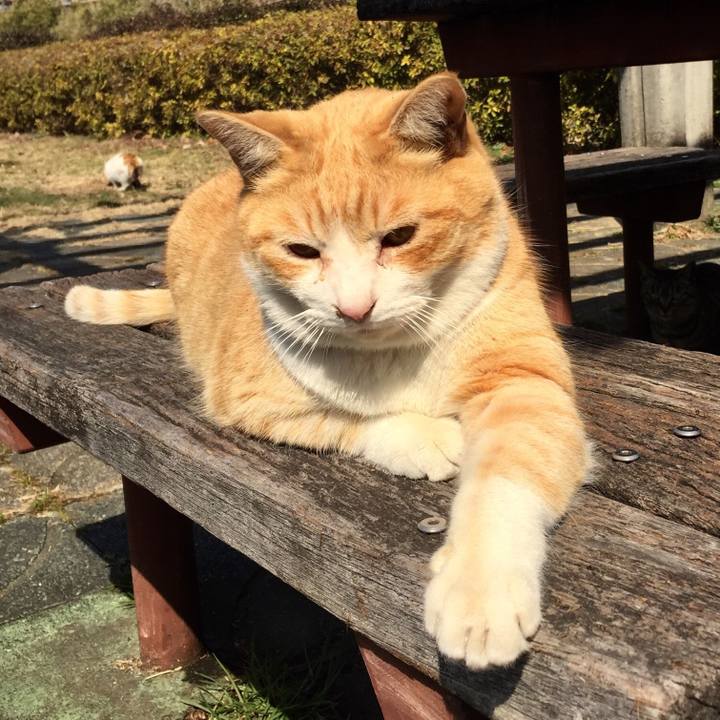 Dba41cad 9d4f 4a80 80b5 a8099ec4514d 1520079376010