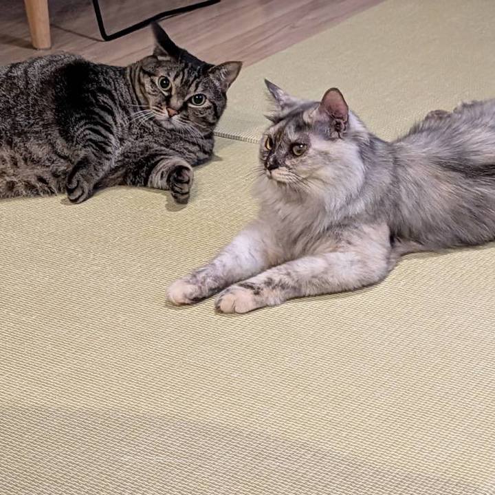 Dba443ca 754e 495e a474 bec3fc416f80 1747228770754