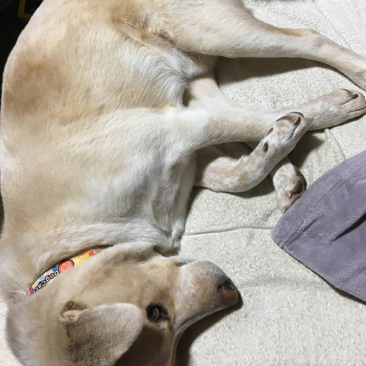 Dba451de d726 42f7 80f9 cde7e8d2a4f2 1515402481290