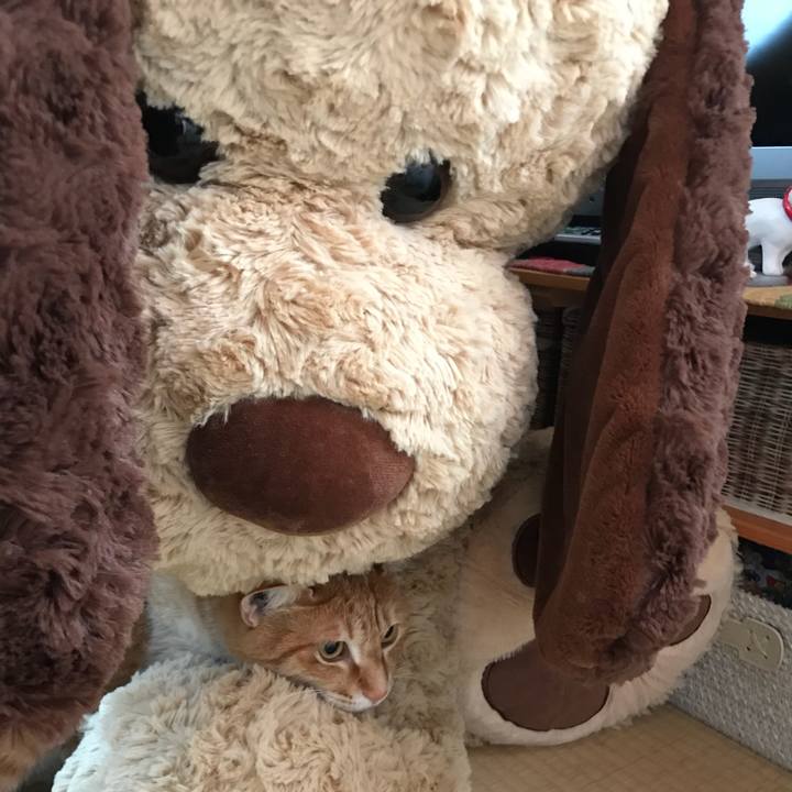 Dba48971 00af 4056 bb9a 0521d5b185f3 1523922392396