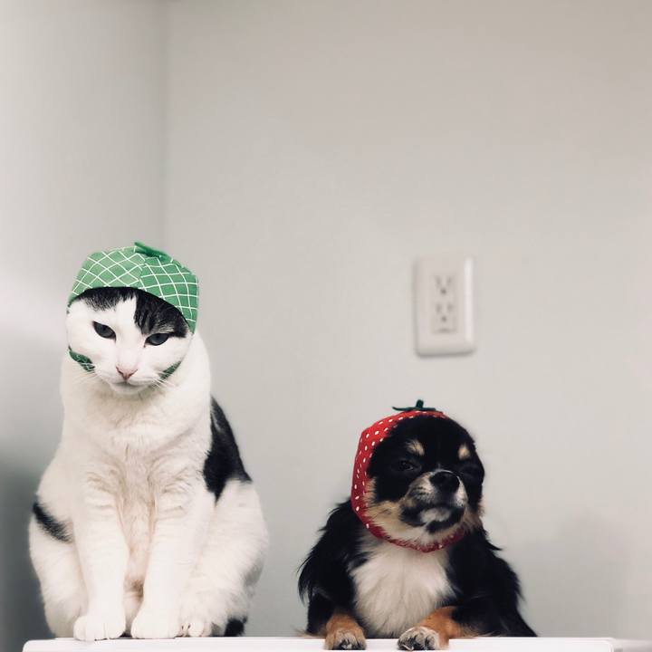 Dba4989f 97ab 4d26 a747 c730a4669d97 1526474262761