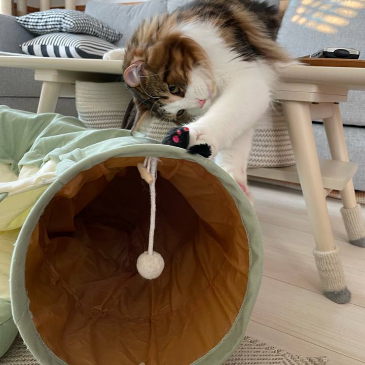 Dba4a9d9 d1d9 45d6 a3c7 700b57caa145 1648764446740