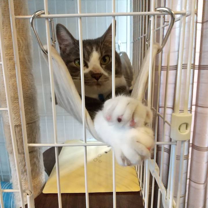 Dba4b85d f834 4aac b1e5 fdf72062795f 1602637180164