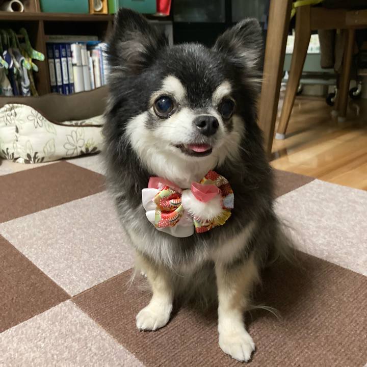 Dba4c116 5dcd 4a18 87a2 185d7a99f2bc 1767008242854