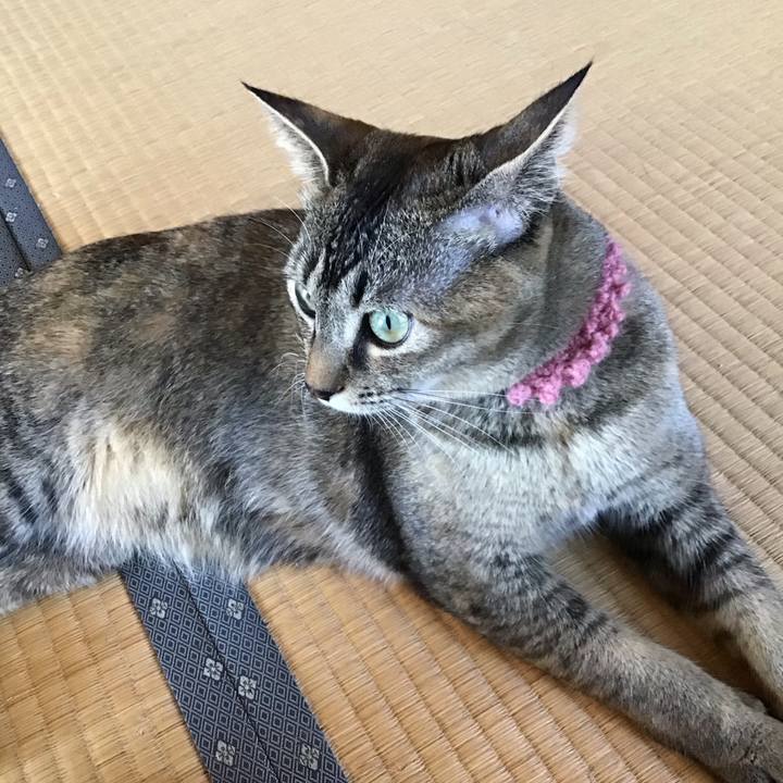 Dba4db05 8229 4b83 8e83 4e958a7c27ad 1588915645729