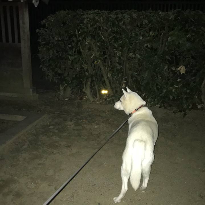 Dba4df37 247f 45c6 b559 9270882071f0 1514544693997