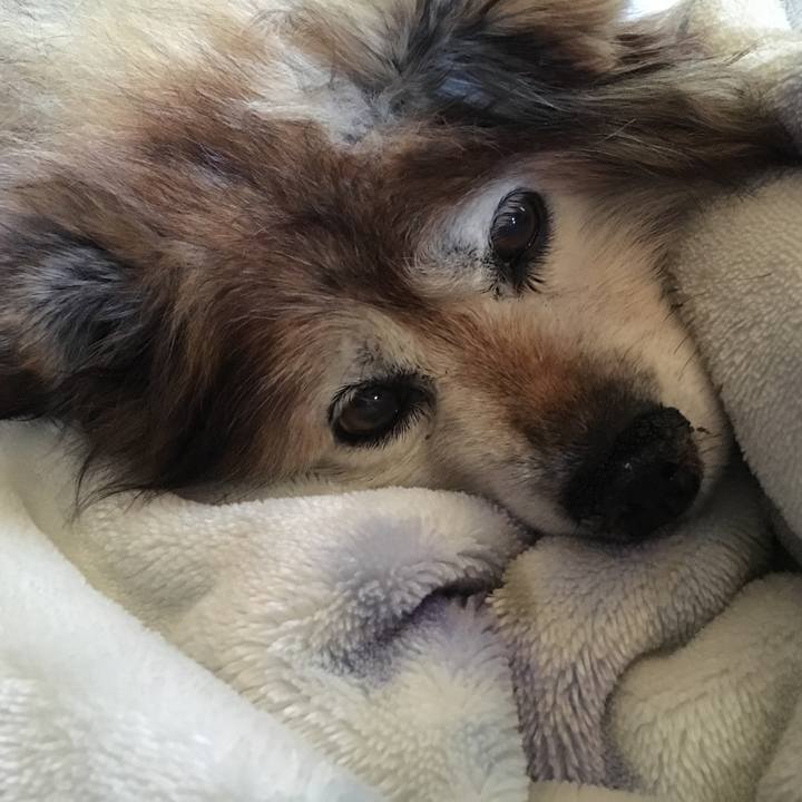 Dba4e2f0 1499 4c9b 8166 f545a1da373d 1559526492613