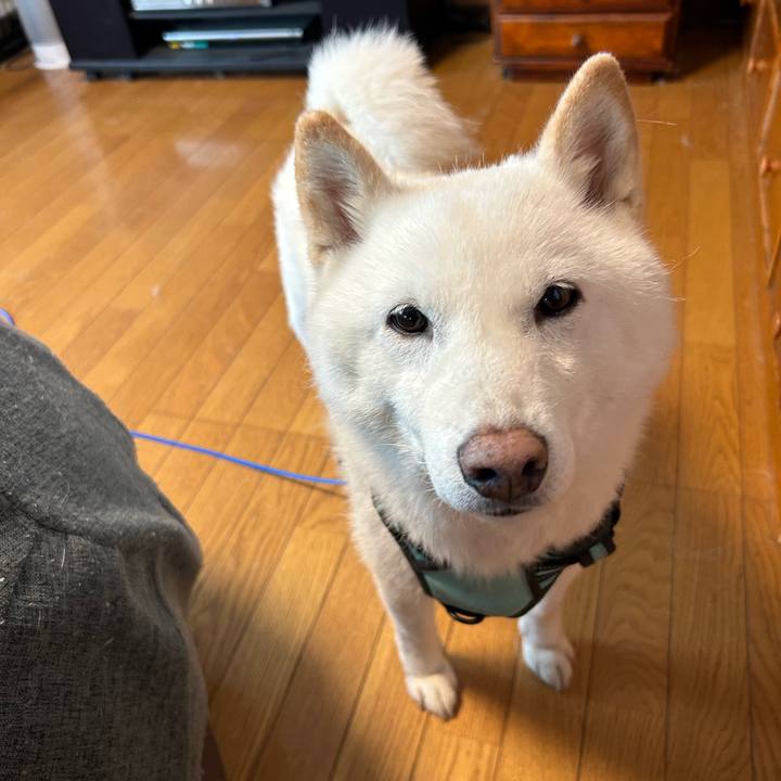 Dba4e3cc 355f 415f 944b 654dde010290 1690114148858