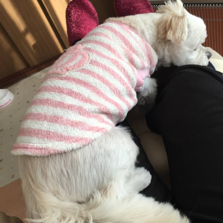 Dba4e6f7 8f50 483d aa32 43e59908811d 1512280447792