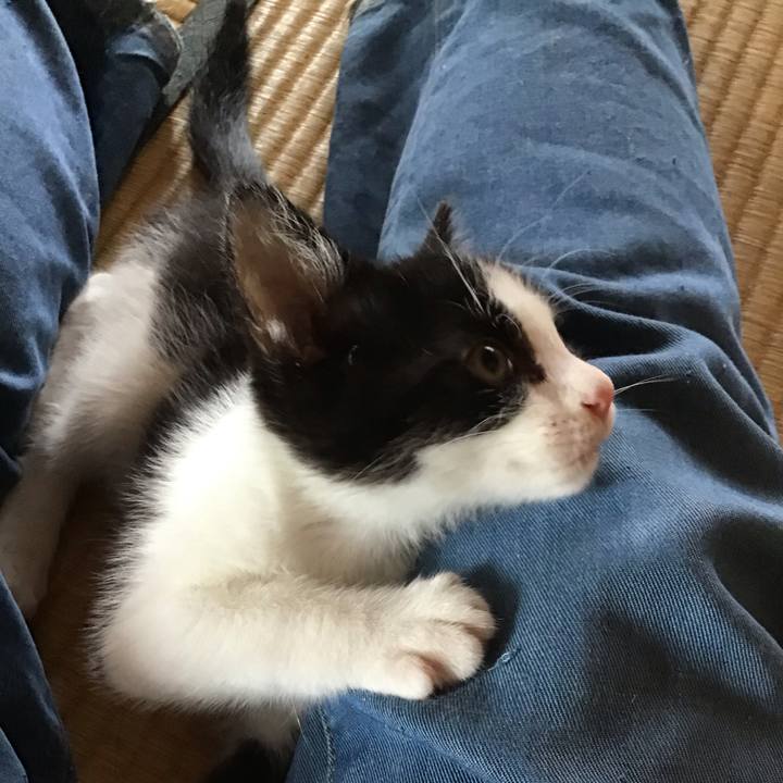 Dba4f791 ff0c 460a a9e5 65c317eb8faf 1624326769518