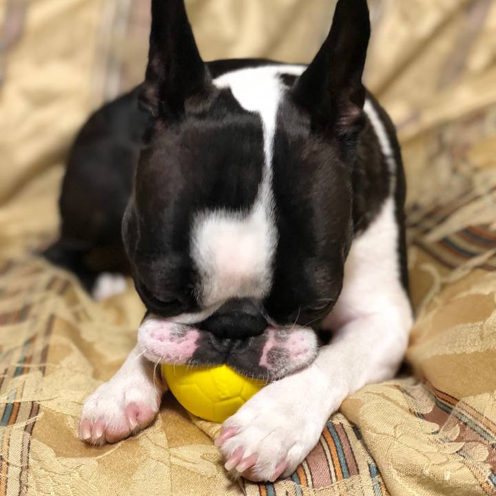 Dba509b8 7cea 4cff 9ba9 4929768658dc 1526641219476