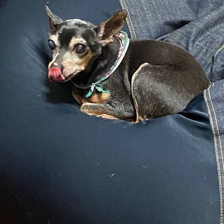 Dba52adc 33db 446b 8d40 81a394d5af1f 1586612563652