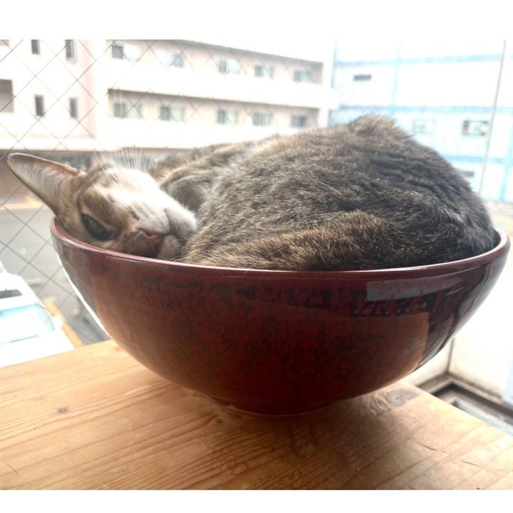 Dba53d1a 1cc7 481c 80da 9bbb33fe3ac0 1717111714081