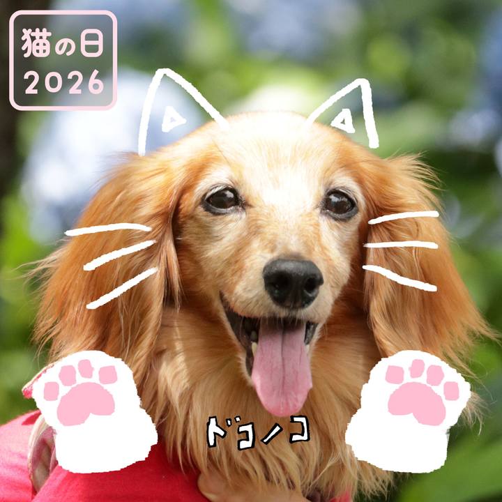 Dba53d57 0da6 4761 913a f75dd6db1f86 1771725599100