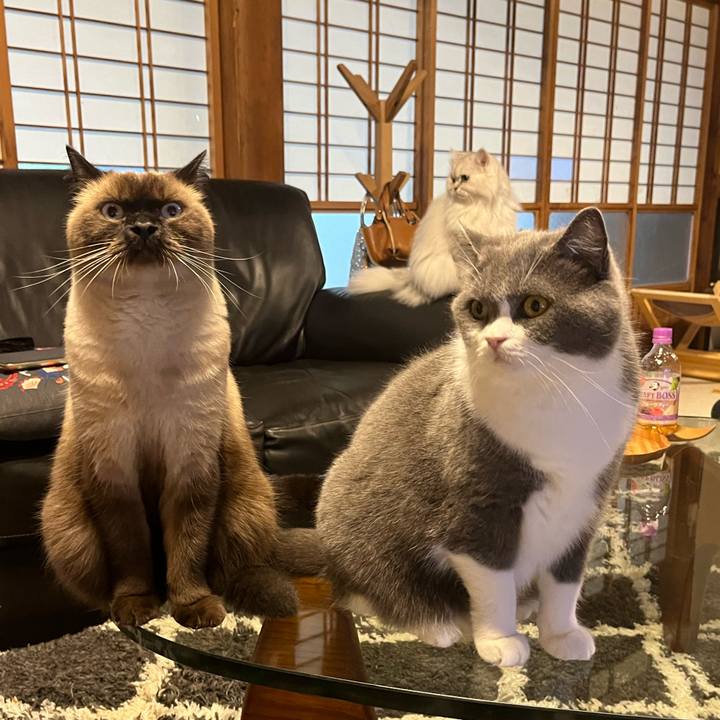 Dba56a6a 05ce 43af 959b eff35bea587f 1635120387928