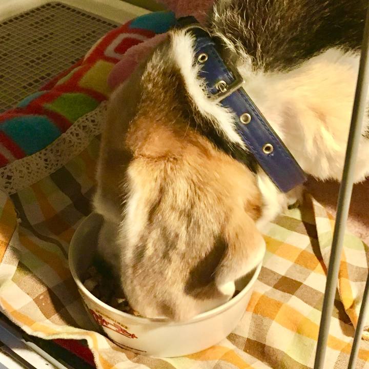 Dba570b4 6388 4a03 836b eda1f9d41a02 1772260641682