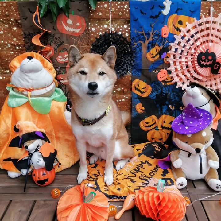 Dba57c1f 78cf 46fa a73f a7c54087556f 1603770759541