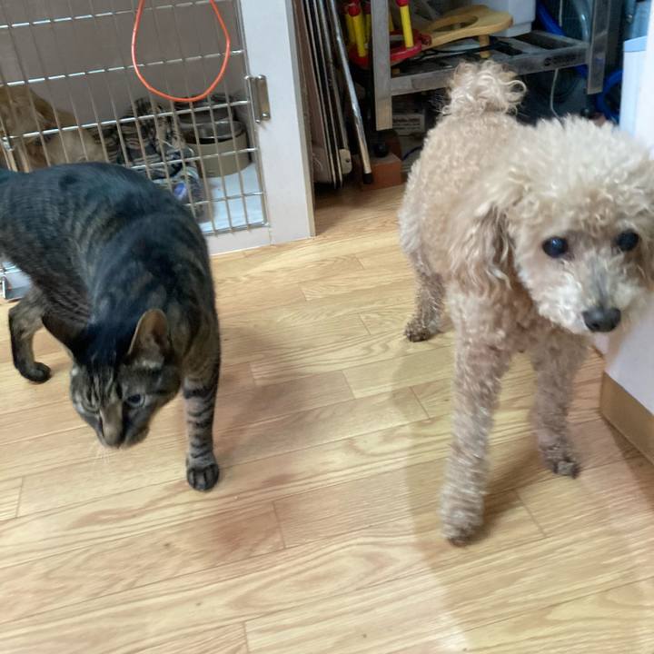 Dba58a2c ec98 4af4 a95f aceb34a919e6 1618217562685