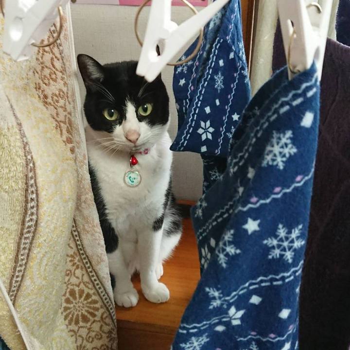 Dba5afaf c2ab 4702 9027 17df9725b576 1608941038482