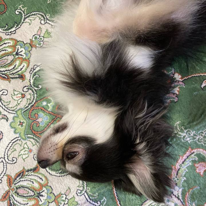 Dba5d629 8de5 494f a8c0 ae885ed04739 1660658139037