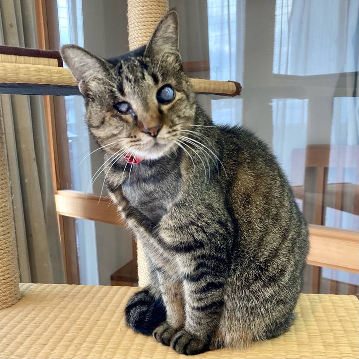 Dba5db90 ac65 45ba 868a 3a319887dbef 1635730777944