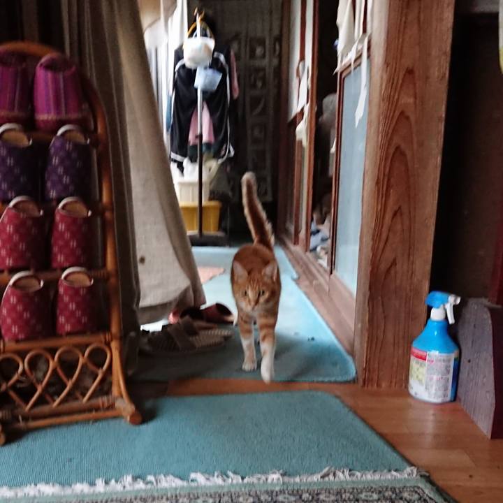 Dba5e091 256e 41fa 8948 d3b0cb491352 1595840127605