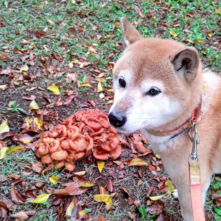 Dba5ed54 b5f2 45b9 9e34 6f833b37b7af 1602928489273