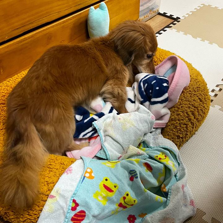 Dba5faf5 c3b8 4466 b175 269ebcf231ea 1669299190077