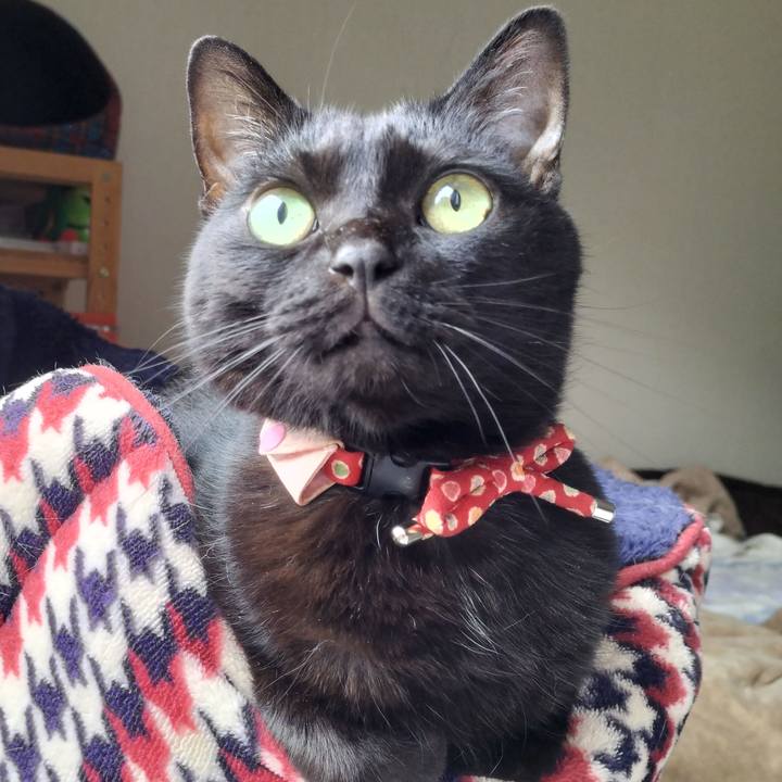 Dba61c50 4f96 46c6 8ccc 0e2d553c8bee 1657332073920