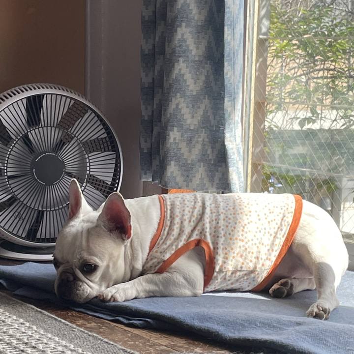 Dba634e0 72db 47ad 9733 f7cac5fbbf24 1745222104629