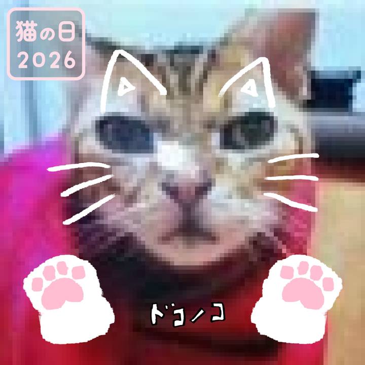 Dba65791 6d57 4ea3 a4b9 5179aefe9388 1771753985855