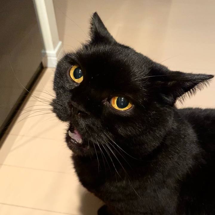 Dba69e45 5a73 4d11 8ffb 8cca323fb1e3 1771937947597