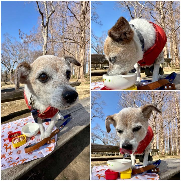 Dba6e0f6 9b8c 4ced a4c3 d0f1da5f7603 1739616304837