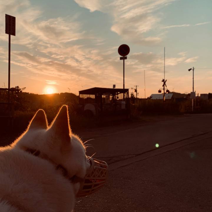 Dba6f496 6b42 4e6b bed2 170671e36e19 1597264850951