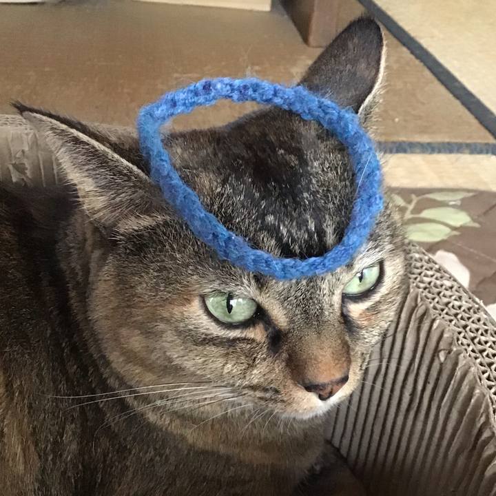 Dba71552 cd9e 46d0 876f e2ad26525e4c 1762038600442