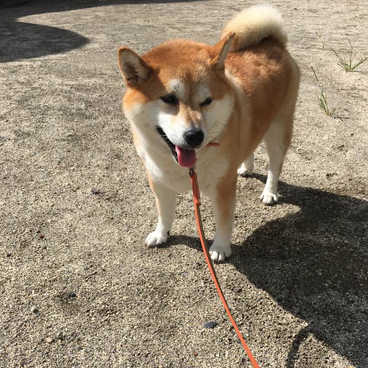 Dba7440e c27f 472f a81e d367d454ef94 1600130553565