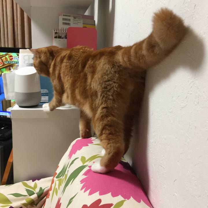 Dba7543a ccce 4142 b4ec c686298dd2ae 1539513176535