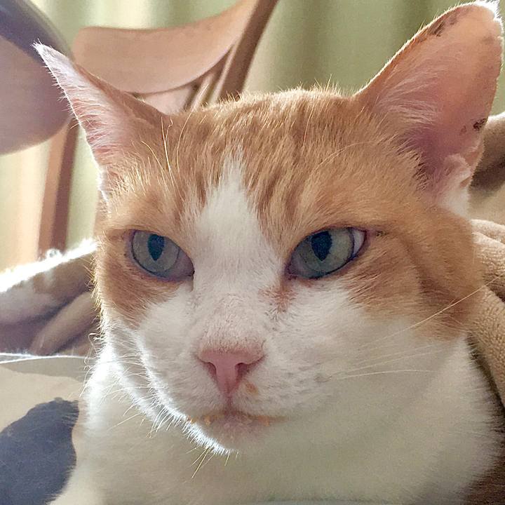 Dba78e82 5272 48c3 8575 84dc33a7c853 1581922498939