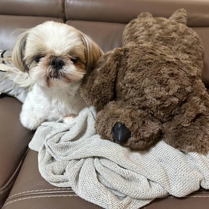 Dba79d9e fabd 47d1 9aab 178df602d0dc 1727698833338