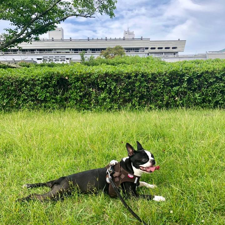 Dba7a111 17ba 4eb9 9f5e 085e238b5380 1559553124933