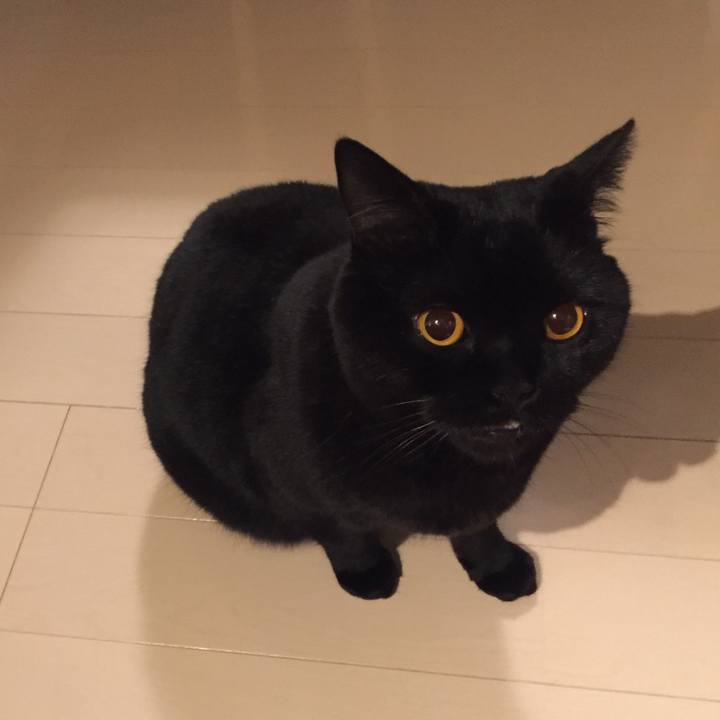 Dba7e2ab f0ca 4956 a8a0 8abb79a7ab7f 1582547762750