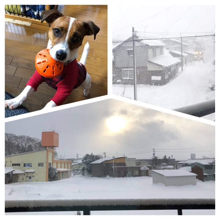 Dba7fe28 a935 4498 b26f bc80ea2dba07 1545952675110