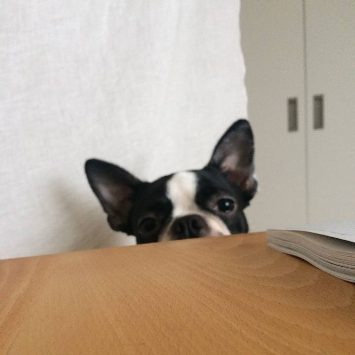 Dba81cf4 b067 4168 933d f5fa092c704b 1508558177633