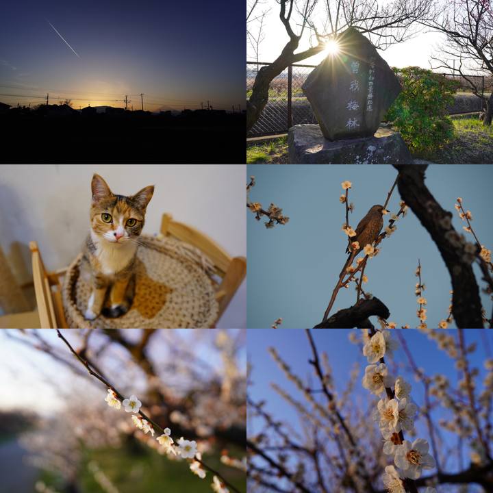 Dba81f6a 6327 4b47 acfc 0850d2725ffa 1582550599218