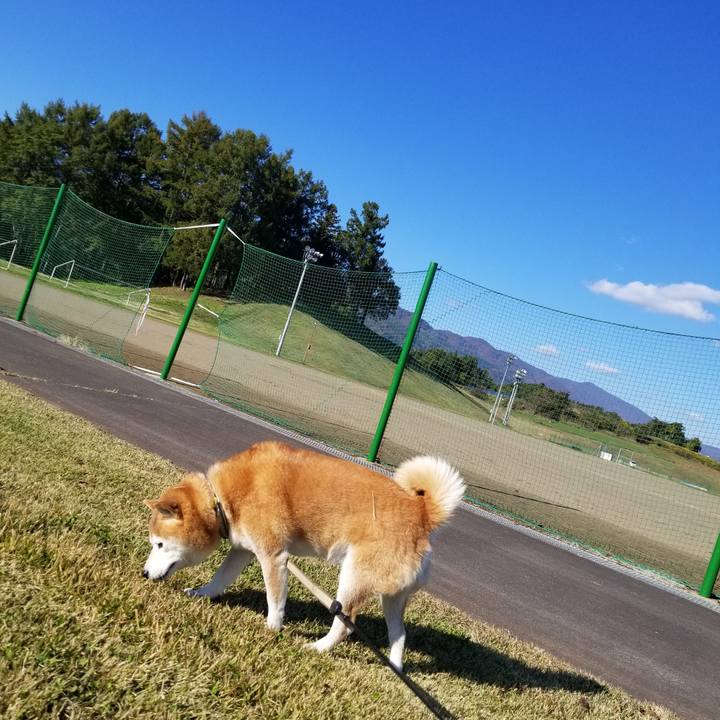 Dba82118 f5e9 4454 9e33 85f8e7e551c4 1666933219552